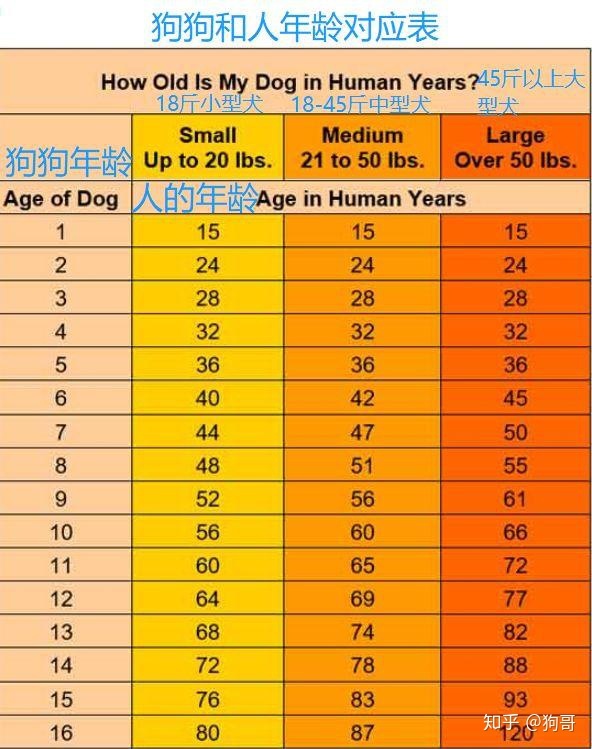 1962年属什么多大年龄_属狗的年龄_属牛的年份及年龄