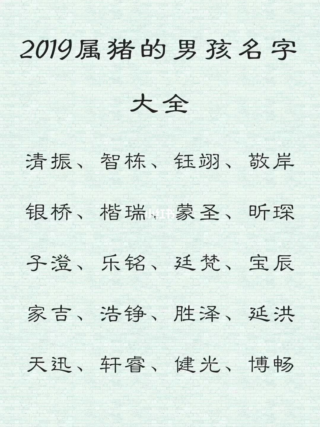 2007年属猪男孩起名如何不太懂，不知道是什么意思