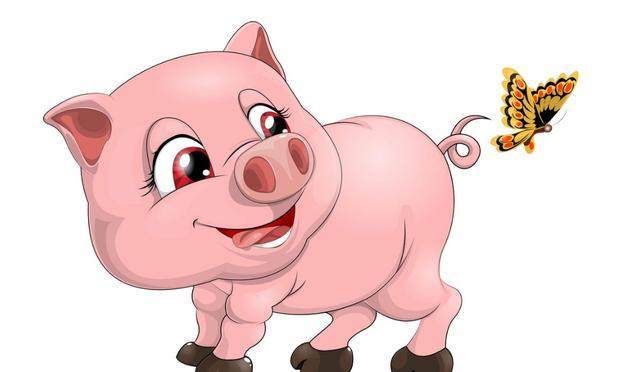 属猪属猪2021年运势及运程每月属猪人的整体运势