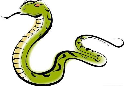生肖蛇的三合生肖是什么?他们又能给属蛇人带来怎样的帮助