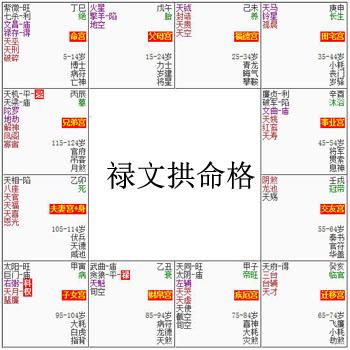 紫微斗数富贵格局——禄文拱命格