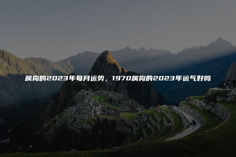 属狗的2023年每月运势，平5261缓中见顺畅