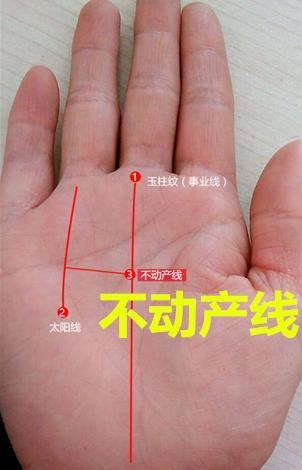 掌纹图解如何看手相上的9大财富纹？