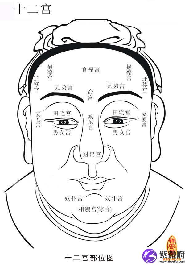 怎样从紫微斗数财帛宫看另一半相貌？