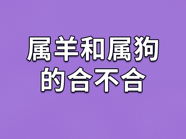 性格温和的属羊人，会擦出不一样的火花