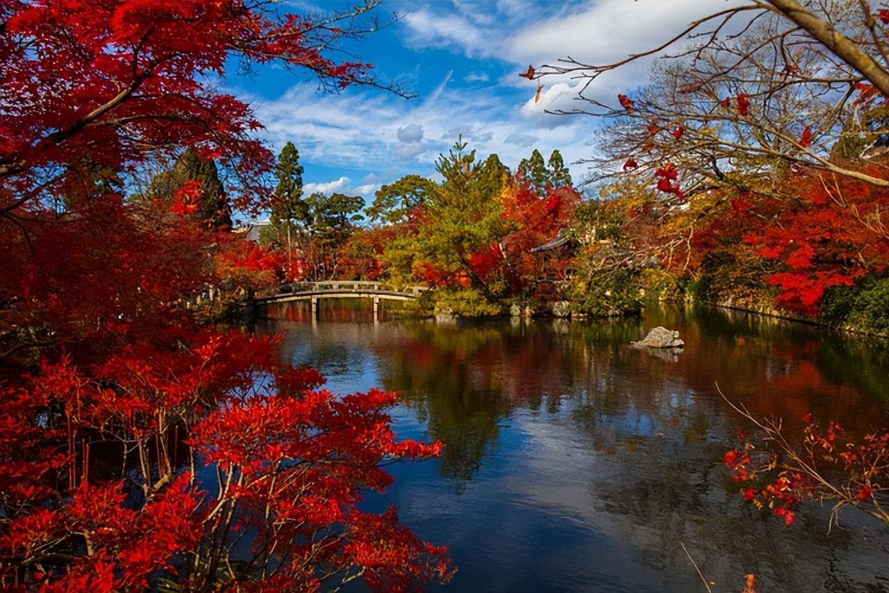 11月25日，属狗人运势平稳的综合分析