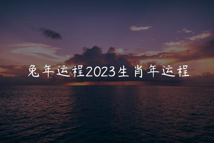 兔年运程2023生肖年运程兔年运势2023年十二生肖运势