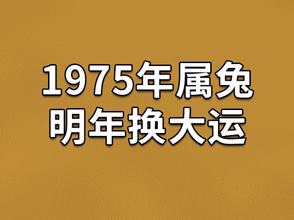 2024 年水兔年属兔人事业运势：适应力强但需强硬，避免受人摆布