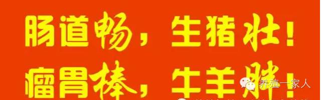 跟随韩小强老师学习牛羊养殖技术，追求绿色健康安全养殖