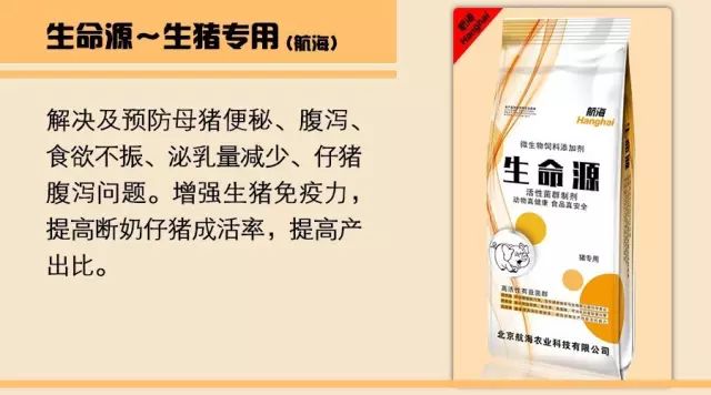 跟随韩小强老师学习牛羊养殖技术，追求绿色健康安全养殖