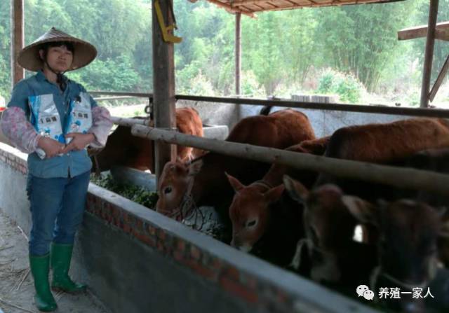 跟随韩小强老师学习牛羊养殖技术，追求绿色健康安全养殖