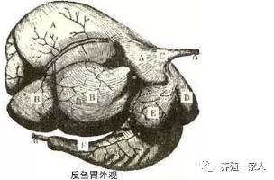 航海：饲料无抗替代技术的先行者，多年坚守保障养殖户利益