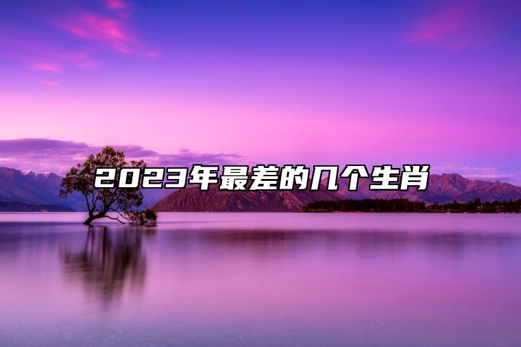 2023 年属龙女财运不理想，经济状况差，如何应对？