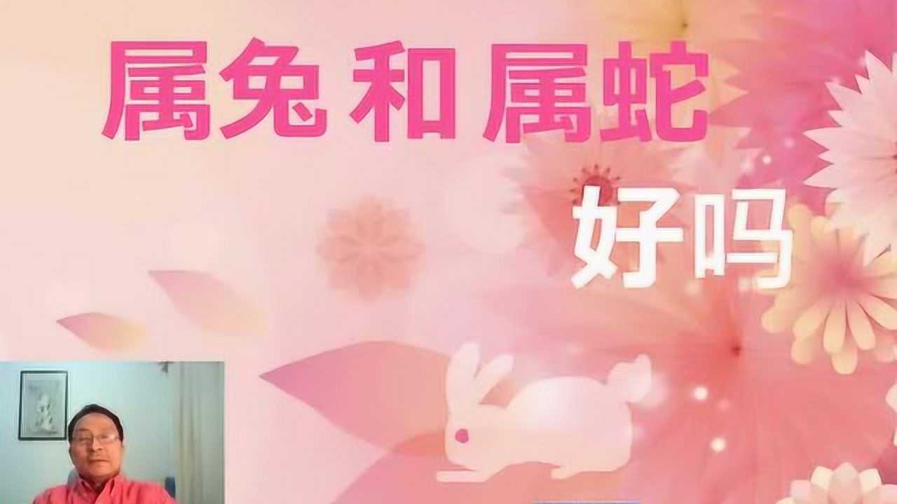 属兔和属蛇人合伙做生意可以吗？性格不同却能互补，成功可期