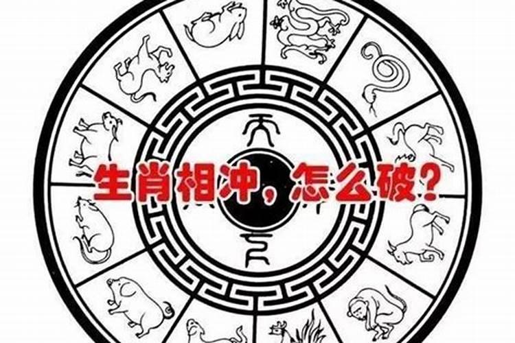 属兔和属鸡的八字合不合？解析属相相冲的化解方法